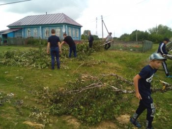 В рамках волонтерского движения «Я – доброволец» 