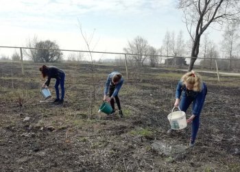 В рамках реализации проекта "Россия-страна берёз."