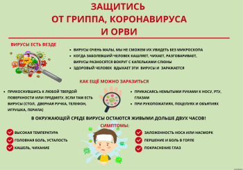 О профилактике вирусных инфекций