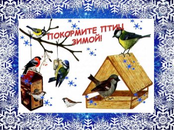 В рамках акции «Покормите птиц зимой!» 